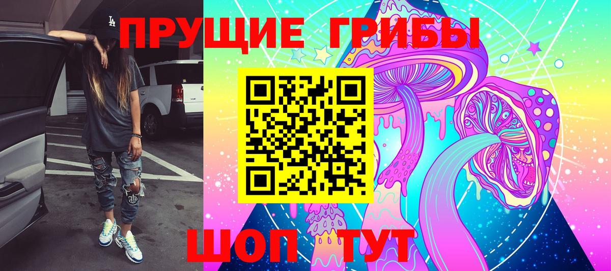 Псилоцибиновые грибы мицелий  Псилоцибиновые грибы мухоморы  магазин    Озёры  Вход с VPN 
