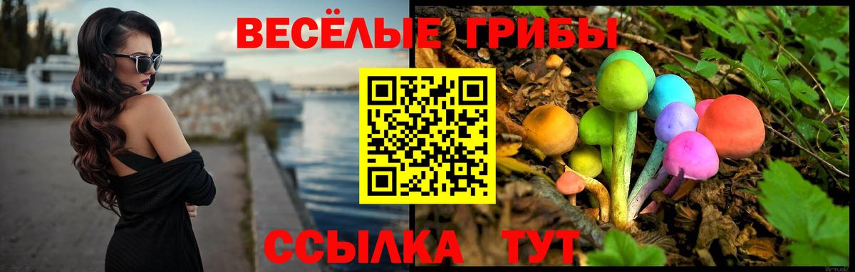 Псилоцибиновые грибы GOLDEN TEACHER Озёры